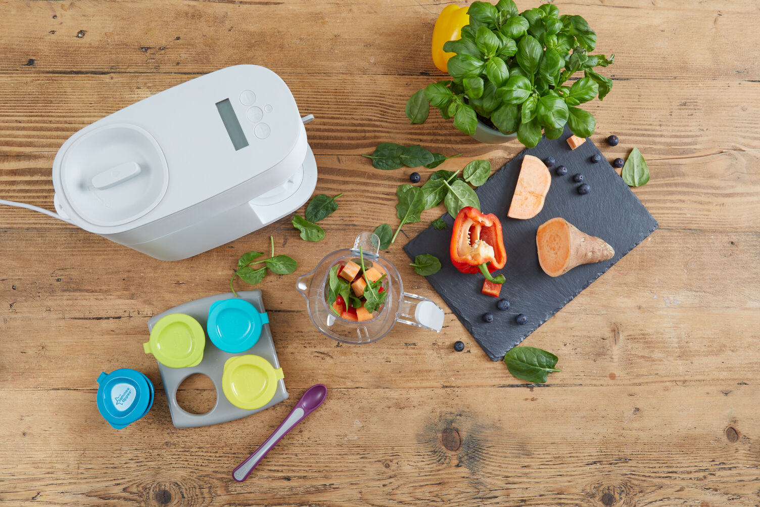 خلاط طعام الأطفال بالبخار - من Tommee Tippee image number 2