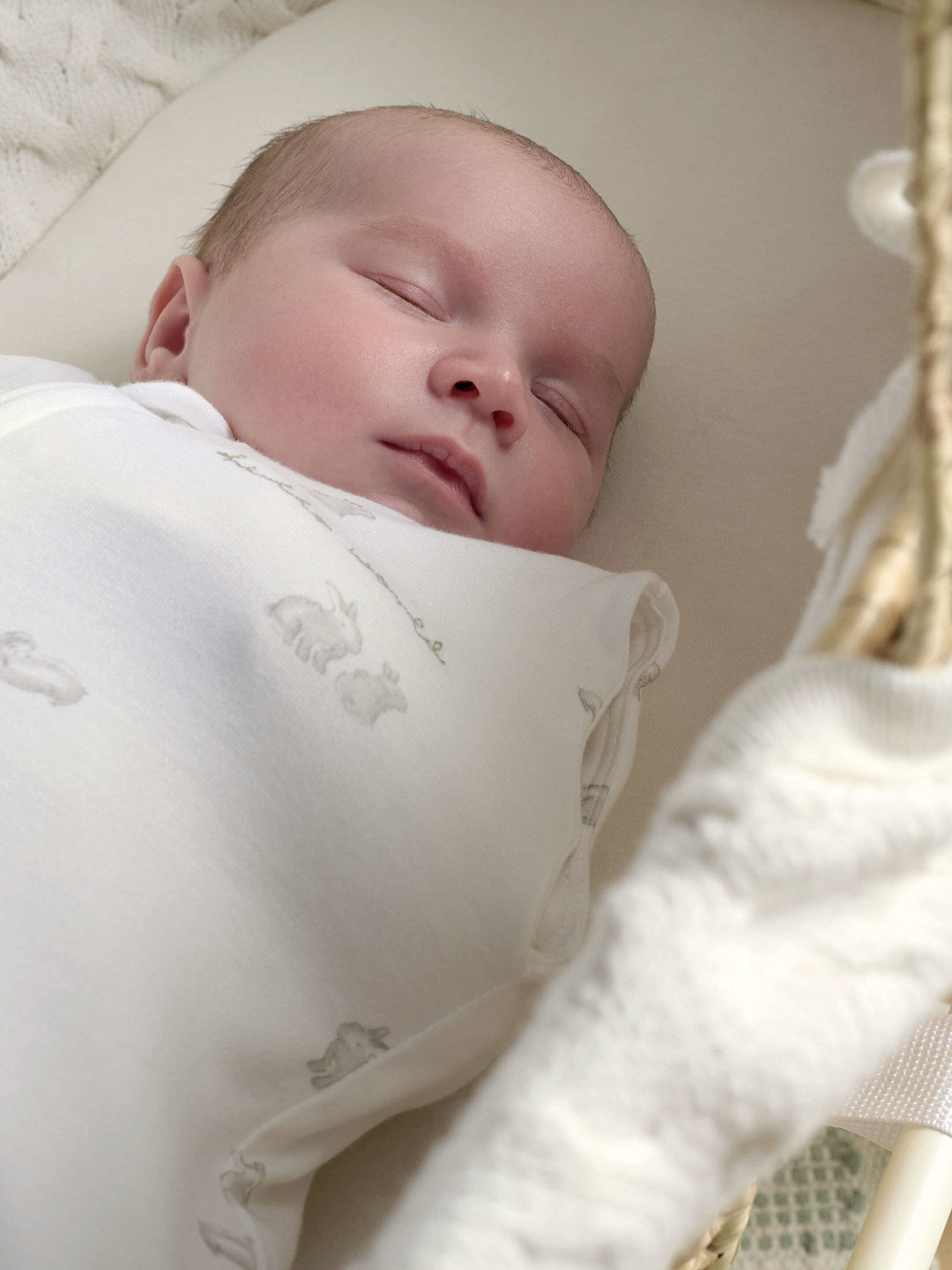 Swaddle - Newborn Bunny image number 4