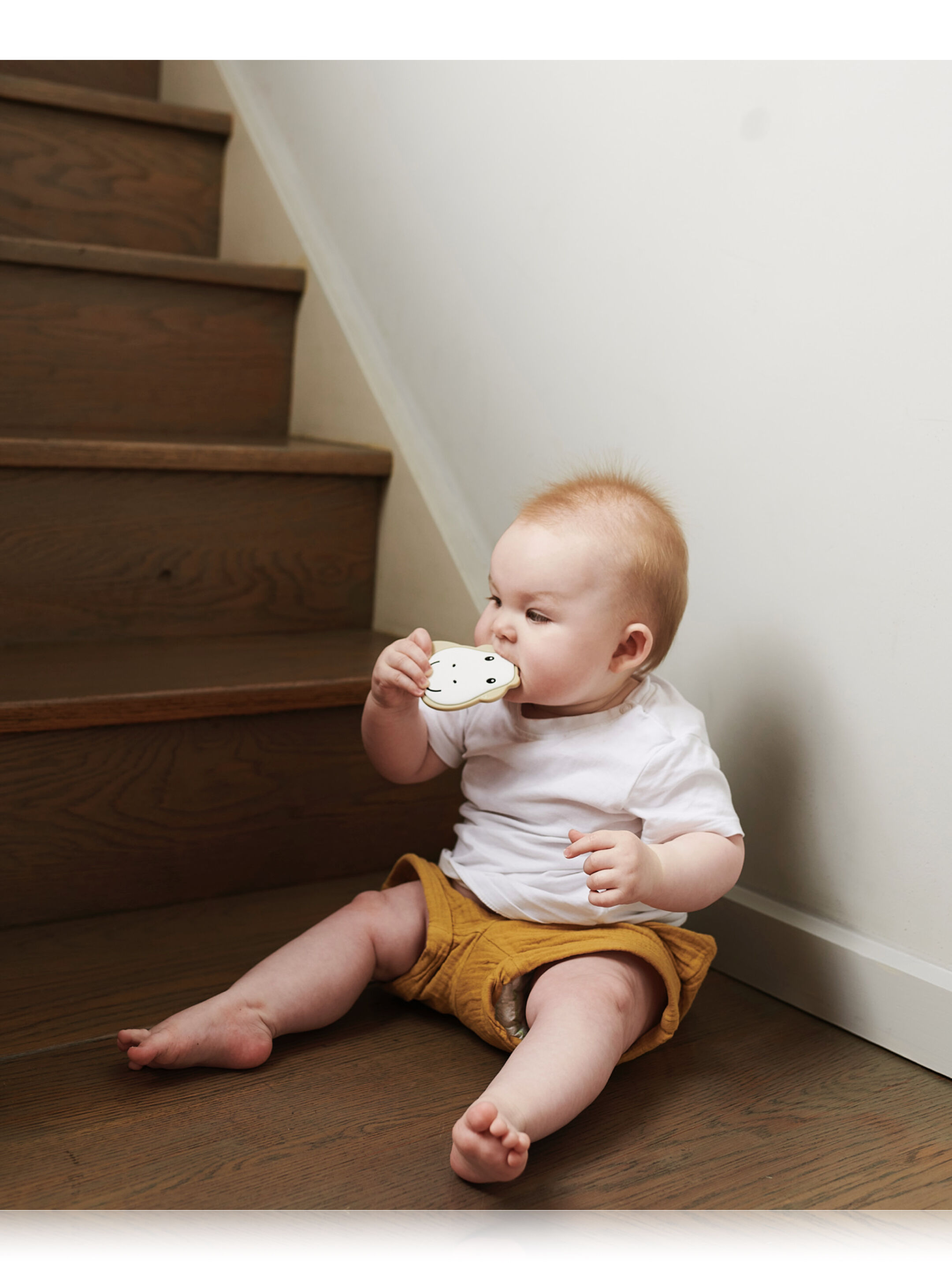 حلقة تسنين مسطحة بتصميم وجه زرافة من ماتشستيك مونكي image number 4