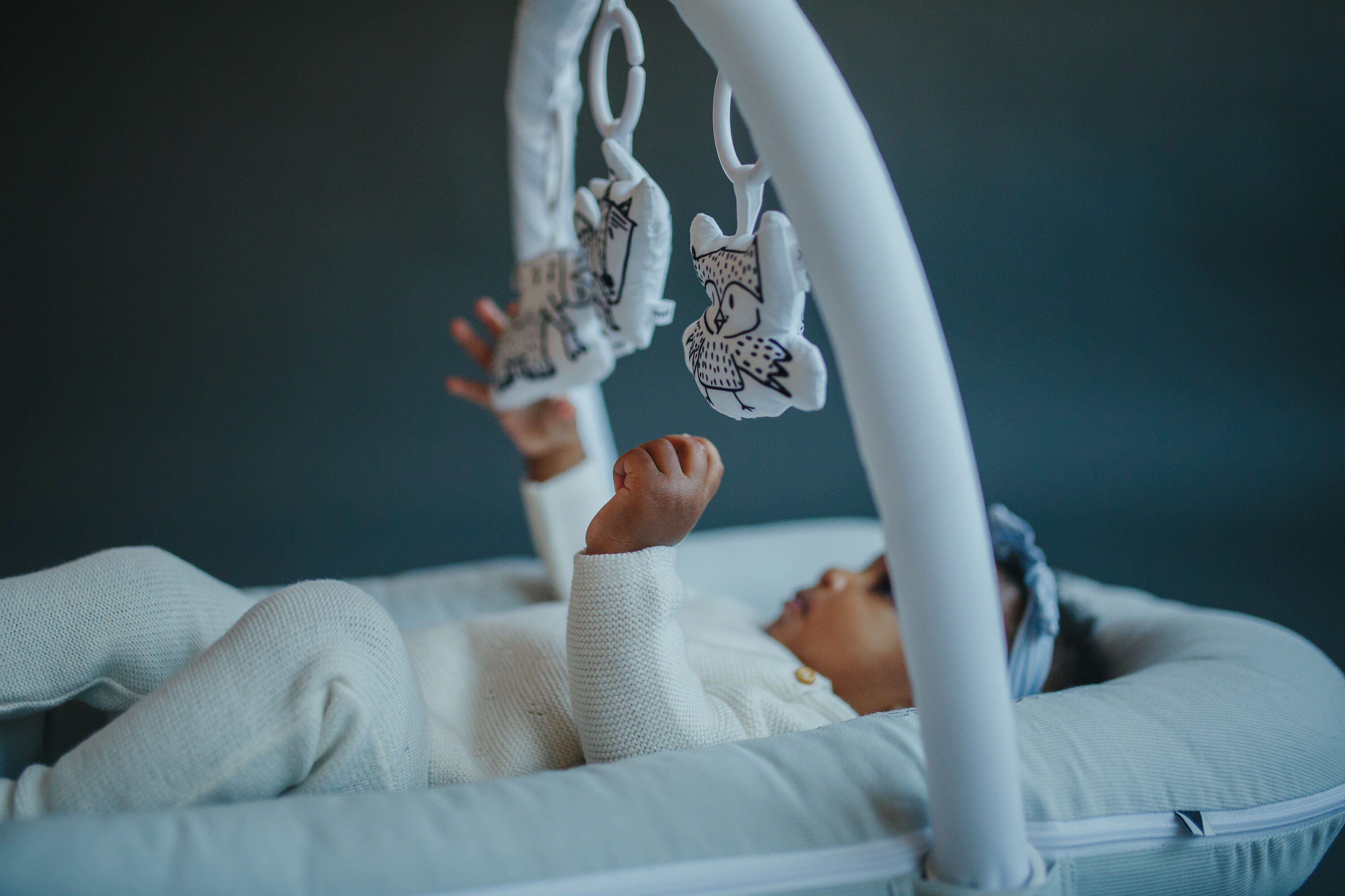 مهد ديلوكس+ لحديثي الولادة من دوك ايه توت - كلاود جراي image number 4