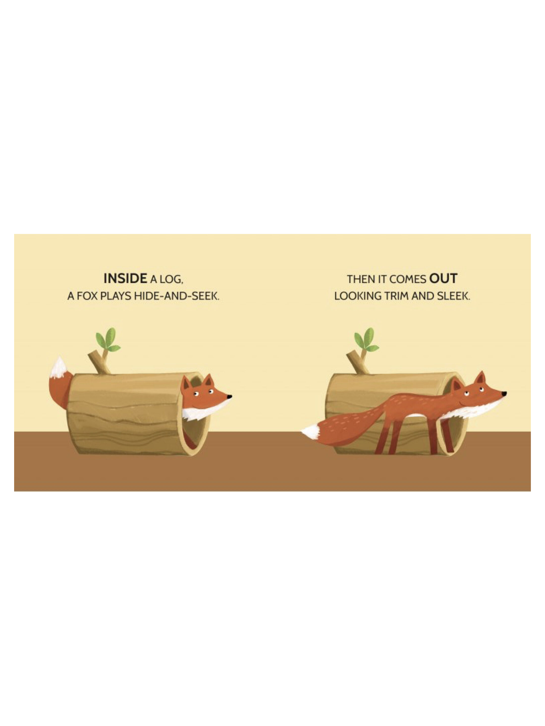 كتاب وأحجية من ساسي - المتضادات image number 6