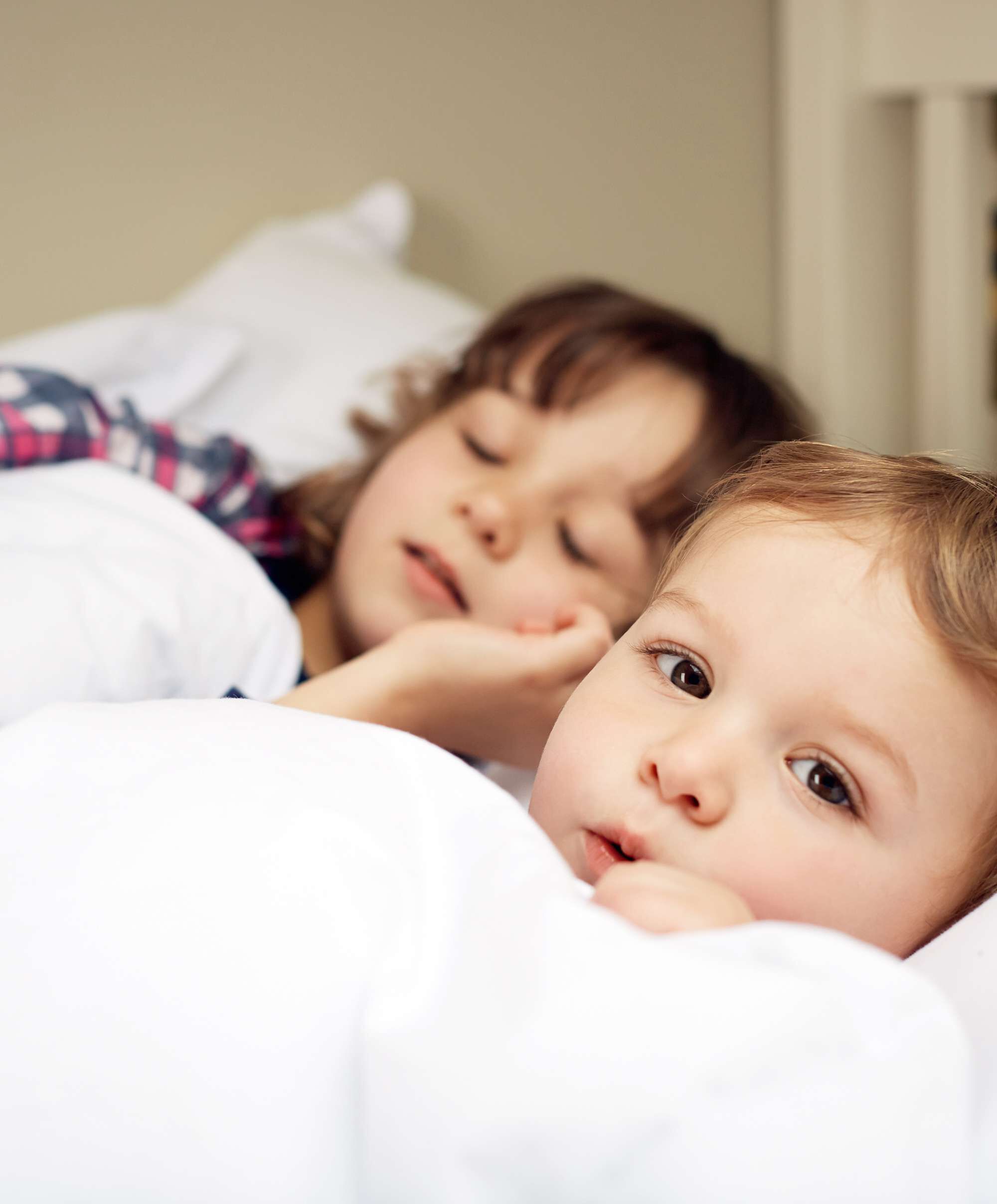 مجموعة لحاف ووسادة المهد المضادة للحساسية image number 8