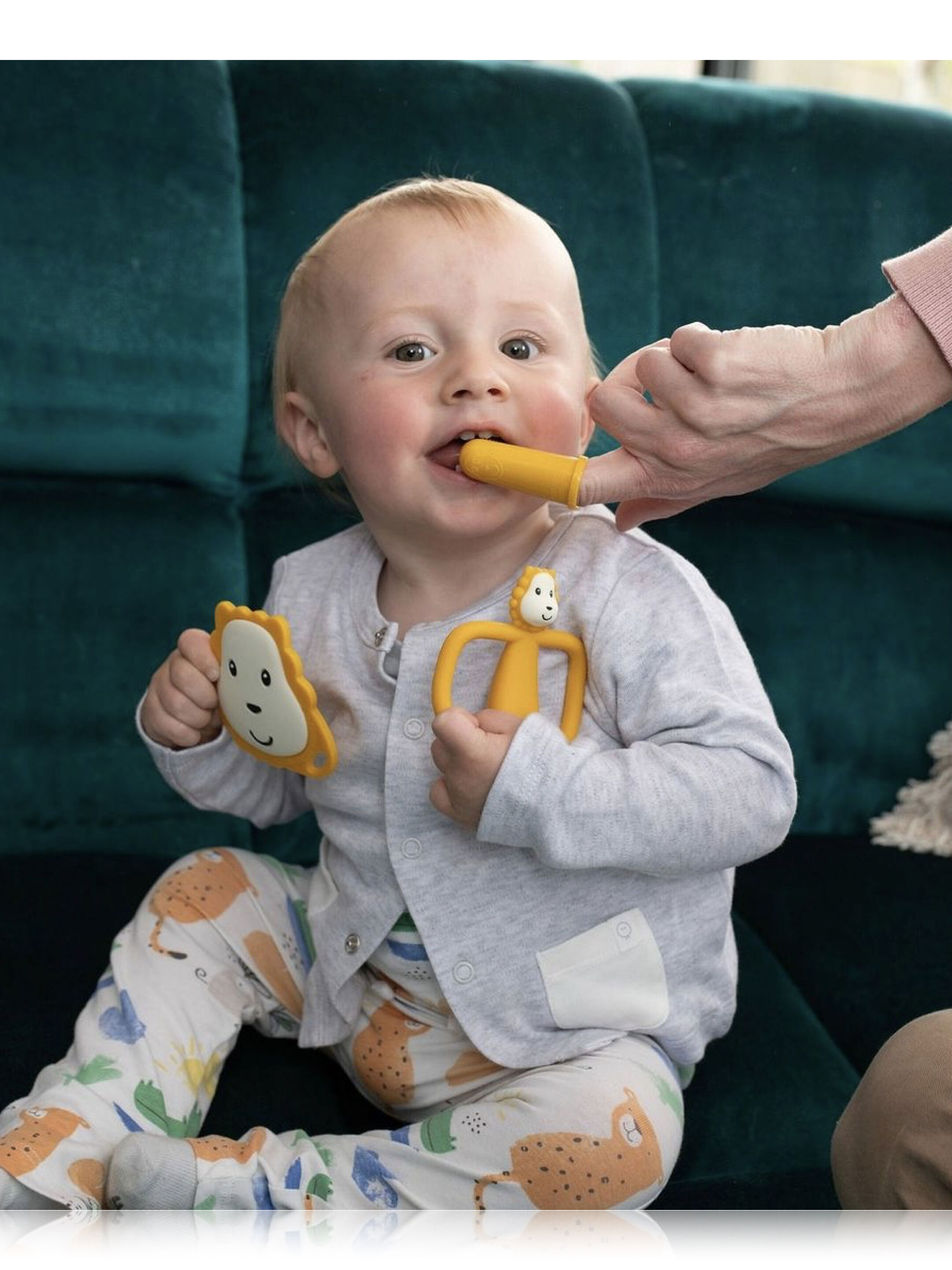 مجموعة حلقات تسنين لحديثي الولادة من ماتشستيك مونكي - تصميم أسد