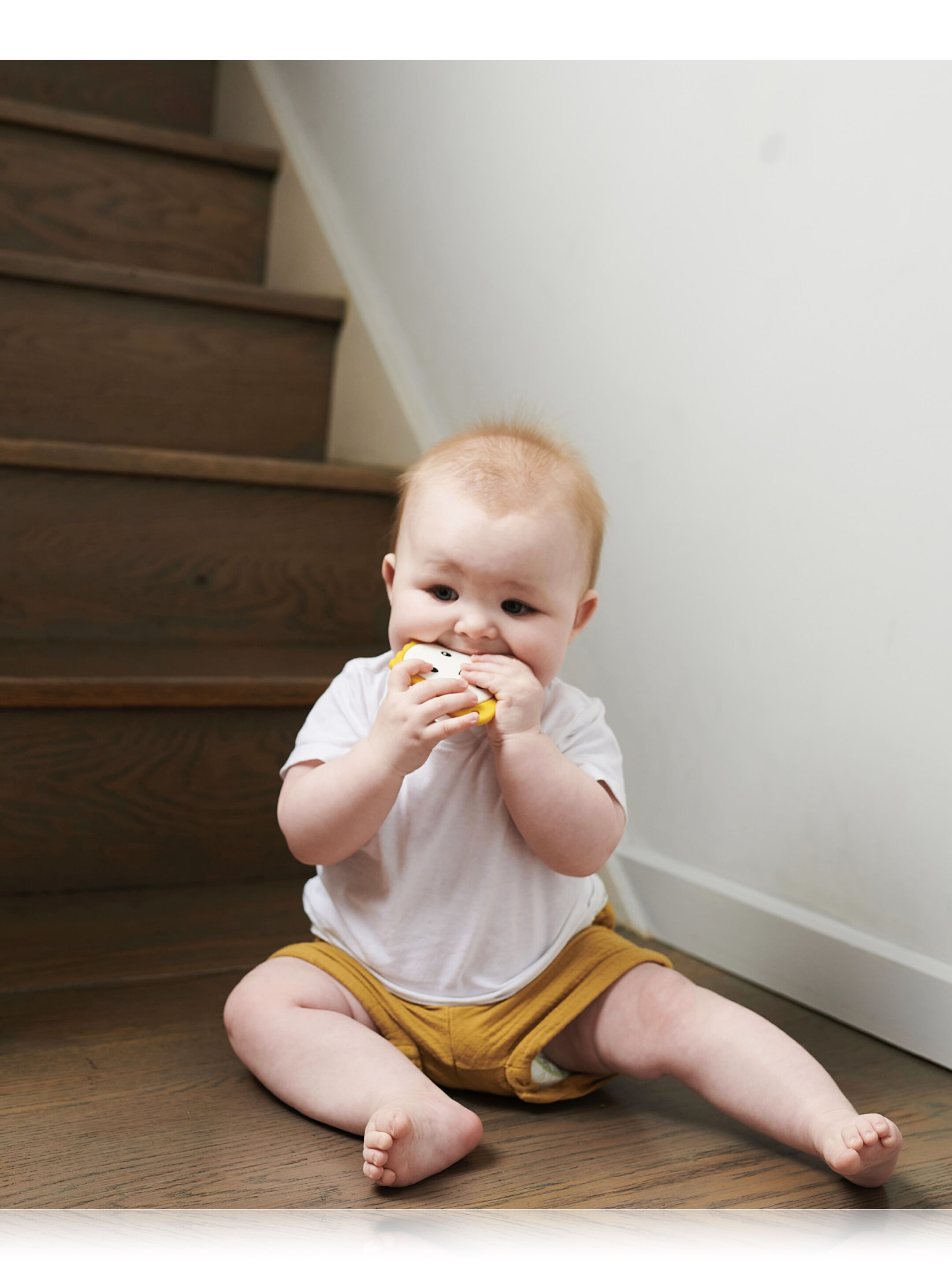 حلقة تسنين مسطحة بتصميم وجه أسد من ماتشستيك مونكي image number 3