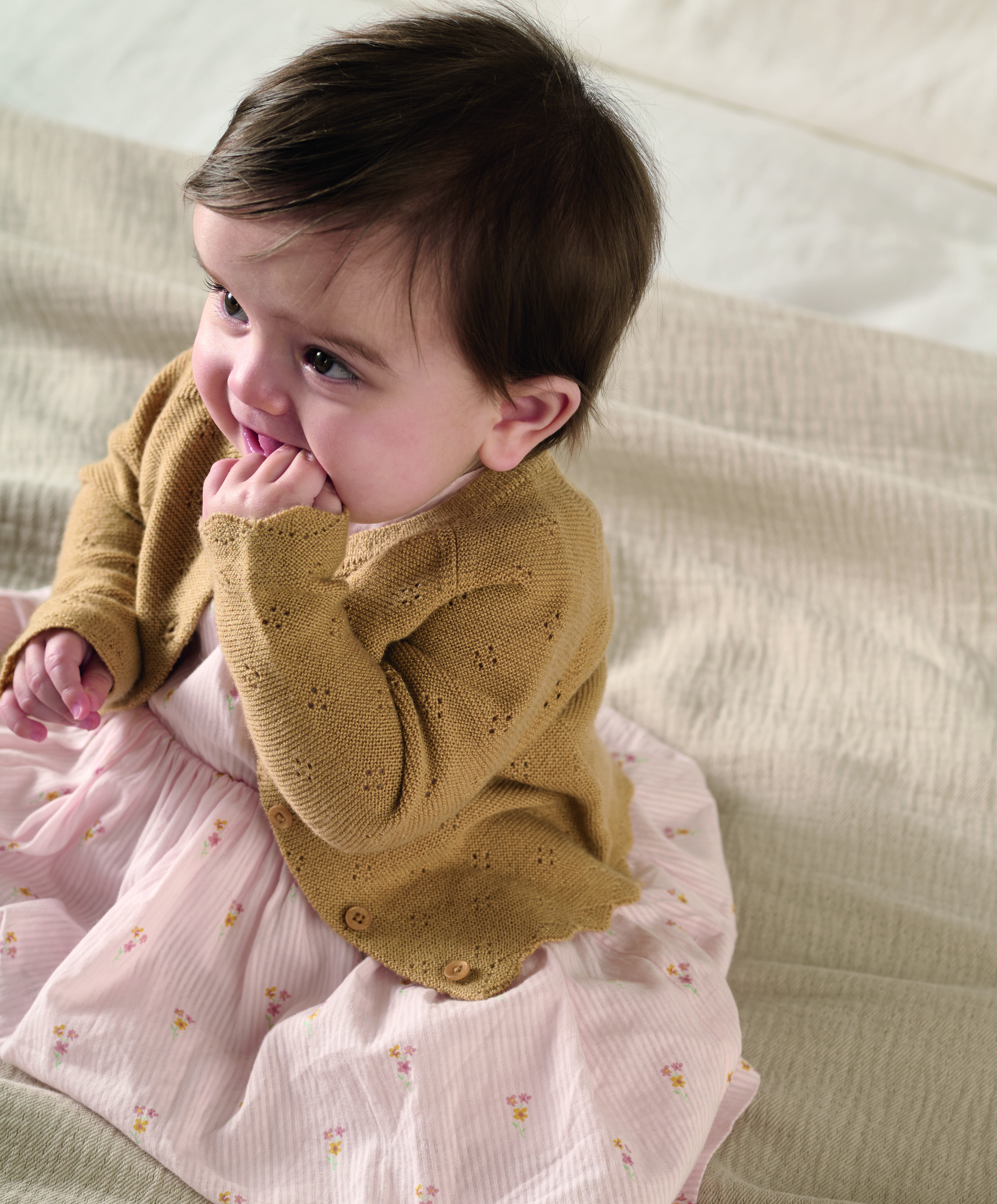 كارديغان بحافة صدفية image number 4